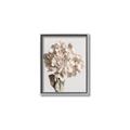 Picture of Lullaby of a Beige Flower _GroupedProduct_Rectangle_Portrait_Photography _GroupedProduct_Rectangle_Portrait_Canvas_Framed_