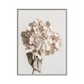 Picture of Lullaby of a Beige Flower _GroupedProduct_Rectangle_Portrait_Photography _GroupedProduct_Rectangle_Portrait_Canvas_Framed_