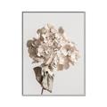 Picture of Lullaby of a Beige Flower _GroupedProduct_Rectangle_Portrait_Photography _GroupedProduct_Rectangle_Portrait_Canvas_Framed_