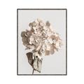 Picture of Lullaby of a Beige Flower _GroupedProduct_Rectangle_Portrait_Photography _GroupedProduct_Rectangle_Portrait_Canvas_Framed_