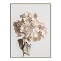 Picture of Lullaby of a Beige Flower _GroupedProduct_Rectangle_Portrait_Photography _GroupedProduct_Rectangle_Portrait_Canvas_Framed_
