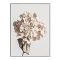 Picture of Lullaby of a Beige Flower _GroupedProduct_Rectangle_Portrait_Photography _GroupedProduct_Rectangle_Portrait_Canvas_Framed_