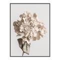 Picture of Lullaby of a Beige Flower _GroupedProduct_Rectangle_Portrait_Photography _GroupedProduct_Rectangle_Portrait_Canvas_Framed_