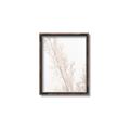 Picture of Earthy Flora Straws _GroupedProduct_Rectangle_Portrait_Photography _GroupedProduct_Rectangle_Portrait_Canvas_Framed_