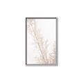 Picture of Earthy Flora Straws _GroupedProduct_Rectangle_Portrait_Photography _GroupedProduct_Rectangle_Portrait_Canvas_Framed_