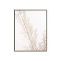 Picture of Earthy Flora Straws _GroupedProduct_Rectangle_Portrait_Photography _GroupedProduct_Rectangle_Portrait_Canvas_Framed_