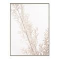 Picture of Earthy Flora Straws _GroupedProduct_Rectangle_Portrait_Photography _GroupedProduct_Rectangle_Portrait_Canvas_Framed_