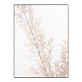 Picture of Earthy Flora Straws _GroupedProduct_Rectangle_Portrait_Photography _GroupedProduct_Rectangle_Portrait_Canvas_Framed_