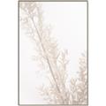 Picture of Earthy Flora Straws _GroupedProduct_Rectangle_Portrait_Photography _GroupedProduct_Rectangle_Portrait_Canvas_Framed_