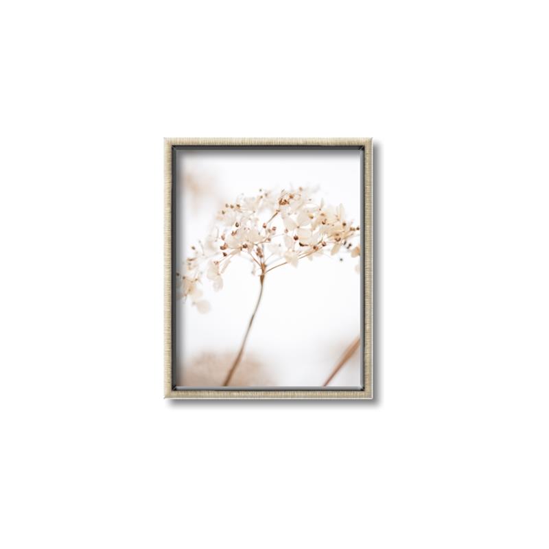 Picture of Desert Bloom Elegance _GroupedProduct_Rectangle_Portrait_Photography _GroupedProduct_Rectangle_Portrait_Canvas_Framed_