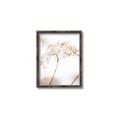 Picture of Desert Bloom Elegance _GroupedProduct_Rectangle_Portrait_Photography _GroupedProduct_Rectangle_Portrait_Canvas_Framed_