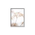 Picture of Desert Bloom Elegance _GroupedProduct_Rectangle_Portrait_Photography _GroupedProduct_Rectangle_Portrait_Canvas_Framed_