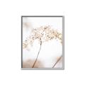 Picture of Desert Bloom Elegance _GroupedProduct_Rectangle_Portrait_Photography _GroupedProduct_Rectangle_Portrait_Canvas_Framed_