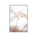 Picture of Desert Bloom Elegance _GroupedProduct_Rectangle_Portrait_Photography _GroupedProduct_Rectangle_Portrait_Canvas_Framed_