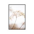 Picture of Desert Bloom Elegance _GroupedProduct_Rectangle_Portrait_Photography _GroupedProduct_Rectangle_Portrait_Canvas_Framed_