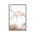 Picture of Desert Bloom Elegance _GroupedProduct_Rectangle_Portrait_Photography _GroupedProduct_Rectangle_Portrait_Canvas_Framed_