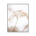 Picture of Desert Bloom Elegance _GroupedProduct_Rectangle_Portrait_Photography _GroupedProduct_Rectangle_Portrait_Canvas_Framed_