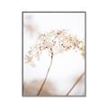 Picture of Desert Bloom Elegance _GroupedProduct_Rectangle_Portrait_Photography _GroupedProduct_Rectangle_Portrait_Canvas_Framed_