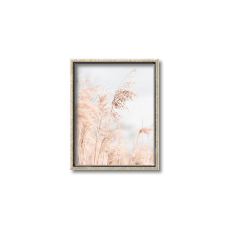 Picture of Neutral Bloom Reeds _GroupedProduct_Rectangle_Portrait_Photography _GroupedProduct_Rectangle_Portrait_Canvas_Framed_