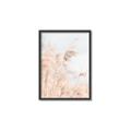 Picture of Neutral Bloom Reeds _GroupedProduct_Rectangle_Portrait_Photography _GroupedProduct_Rectangle_Portrait_Canvas_Framed_