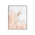 Picture of Neutral Bloom Reeds _GroupedProduct_Rectangle_Portrait_Photography _GroupedProduct_Rectangle_Portrait_Canvas_Framed_