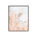 Picture of Neutral Bloom Reeds _GroupedProduct_Rectangle_Portrait_Photography _GroupedProduct_Rectangle_Portrait_Canvas_Framed_