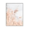 Picture of Neutral Bloom Reeds _GroupedProduct_Rectangle_Portrait_Photography _GroupedProduct_Rectangle_Portrait_Canvas_Framed_