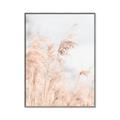 Picture of Neutral Bloom Reeds _GroupedProduct_Rectangle_Portrait_Photography _GroupedProduct_Rectangle_Portrait_Canvas_Framed_