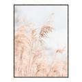Picture of Neutral Bloom Reeds _GroupedProduct_Rectangle_Portrait_Photography _GroupedProduct_Rectangle_Portrait_Canvas_Framed_
