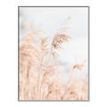 Picture of Neutral Bloom Reeds _GroupedProduct_Rectangle_Portrait_Photography _GroupedProduct_Rectangle_Portrait_Canvas_Framed_