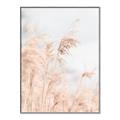 Picture of Neutral Bloom Reeds _GroupedProduct_Rectangle_Portrait_Photography _GroupedProduct_Rectangle_Portrait_Canvas_Framed_