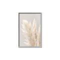 Picture of Creamy Petal Pampas I _GroupedProduct_Rectangle_Portrait_Photography _GroupedProduct_Rectangle_Portrait_Canvas_Framed_