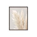 Picture of Creamy Petal Pampas I _GroupedProduct_Rectangle_Portrait_Photography _GroupedProduct_Rectangle_Portrait_Canvas_Framed_