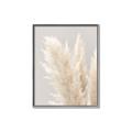 Picture of Creamy Petal Pampas I _GroupedProduct_Rectangle_Portrait_Photography _GroupedProduct_Rectangle_Portrait_Canvas_Framed_