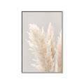 Picture of Creamy Petal Pampas I _GroupedProduct_Rectangle_Portrait_Photography _GroupedProduct_Rectangle_Portrait_Canvas_Framed_