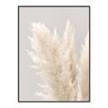 Picture of Creamy Petal Pampas I _GroupedProduct_Rectangle_Portrait_Photography _GroupedProduct_Rectangle_Portrait_Canvas_Framed_