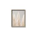 Picture of Creamy Petal Pampas II _GroupedProduct_Rectangle_Portrait_Photography _GroupedProduct_Rectangle_Portrait_Canvas_Framed_