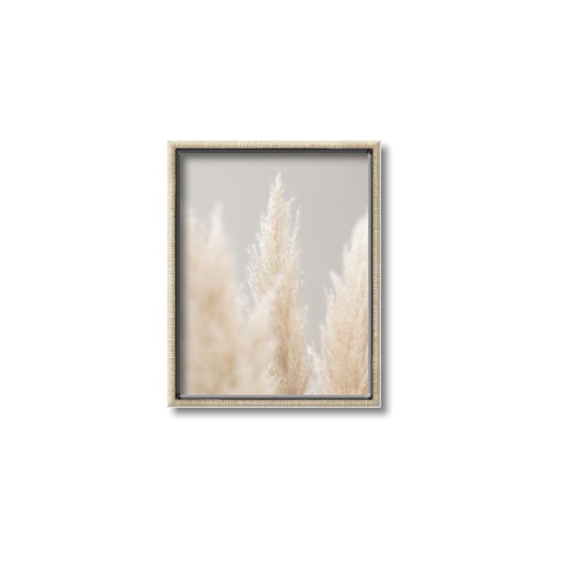 Picture of Creamy Petal Pampas II _GroupedProduct_Rectangle_Portrait_Photography _GroupedProduct_Rectangle_Portrait_Canvas_Framed_