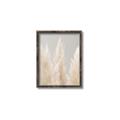 Picture of Creamy Petal Pampas II _GroupedProduct_Rectangle_Portrait_Photography _GroupedProduct_Rectangle_Portrait_Canvas_Framed_