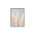 Picture of Creamy Petal Pampas II _GroupedProduct_Rectangle_Portrait_Photography _GroupedProduct_Rectangle_Portrait_Canvas_Framed_