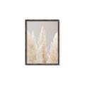 Picture of Creamy Petal Pampas II _GroupedProduct_Rectangle_Portrait_Photography _GroupedProduct_Rectangle_Portrait_Canvas_Framed_