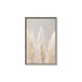 Picture of Creamy Petal Pampas II _GroupedProduct_Rectangle_Portrait_Photography _GroupedProduct_Rectangle_Portrait_Canvas_Framed_