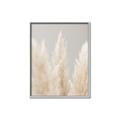 Picture of Creamy Petal Pampas II _GroupedProduct_Rectangle_Portrait_Photography _GroupedProduct_Rectangle_Portrait_Canvas_Framed_