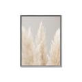 Picture of Creamy Petal Pampas II _GroupedProduct_Rectangle_Portrait_Photography _GroupedProduct_Rectangle_Portrait_Canvas_Framed_