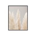 Picture of Creamy Petal Pampas II _GroupedProduct_Rectangle_Portrait_Photography _GroupedProduct_Rectangle_Portrait_Canvas_Framed_