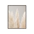 Picture of Creamy Petal Pampas II _GroupedProduct_Rectangle_Portrait_Photography _GroupedProduct_Rectangle_Portrait_Canvas_Framed_