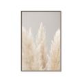 Picture of Creamy Petal Pampas II _GroupedProduct_Rectangle_Portrait_Photography _GroupedProduct_Rectangle_Portrait_Canvas_Framed_