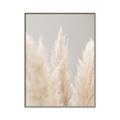 Picture of Creamy Petal Pampas II _GroupedProduct_Rectangle_Portrait_Photography _GroupedProduct_Rectangle_Portrait_Canvas_Framed_