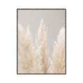 Picture of Creamy Petal Pampas II _GroupedProduct_Rectangle_Portrait_Photography _GroupedProduct_Rectangle_Portrait_Canvas_Framed_