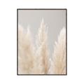 Picture of Creamy Petal Pampas II _GroupedProduct_Rectangle_Portrait_Photography _GroupedProduct_Rectangle_Portrait_Canvas_Framed_